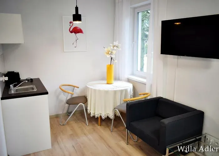 Adler - Spokojna Okolica, Blisko Cntrum 3* Ustron